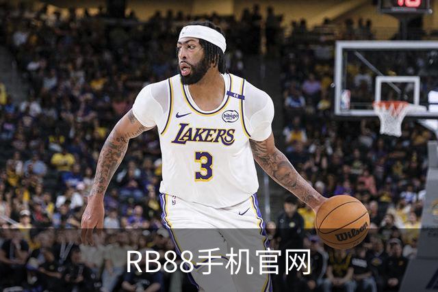 RB88手机官网公司介绍图片